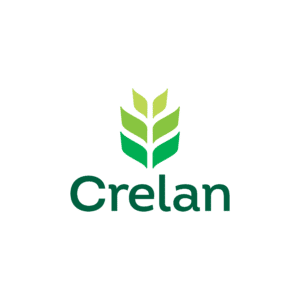 Logo Crelan Lier - website